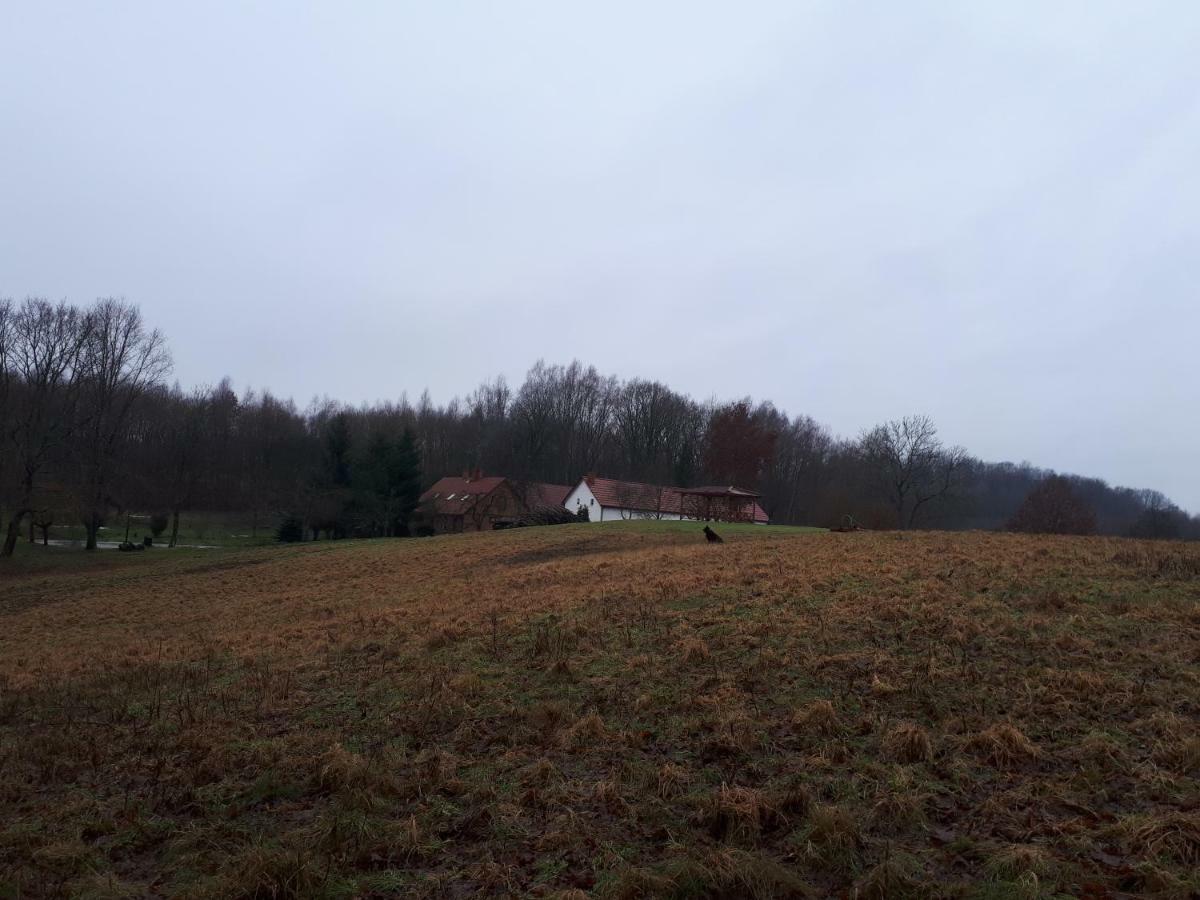 Labadkowo Villa Labedzie Exterior photo